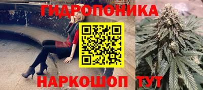 МДПВ Заволжье