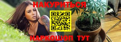 молекула духа Жуковский