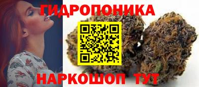 МДПВ Заволжье