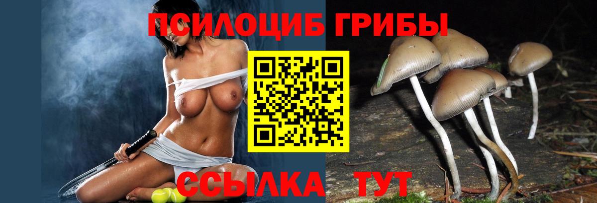 Галлюциногенные грибы мицелий  Вход с VPN  Кунгур  Галлюциногенные грибы прущие грибы 